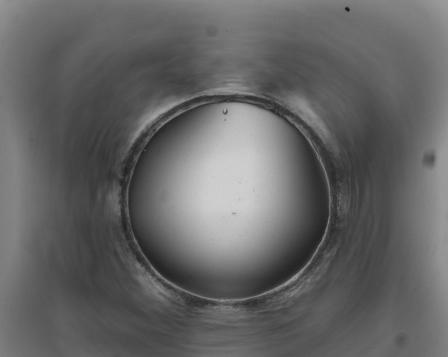 X0000096721356200802121239