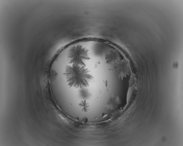 X0000096721359200802121239