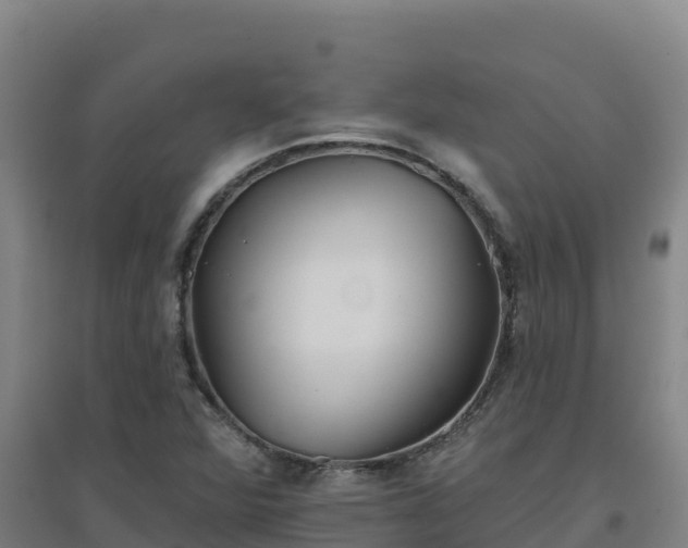 X0000096721360200802121239