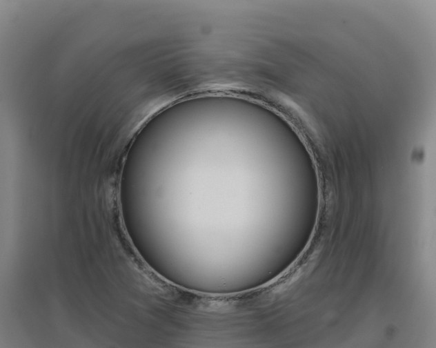 X0000096721361200802121239