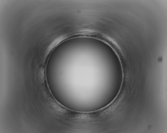 X0000096721362200802121239