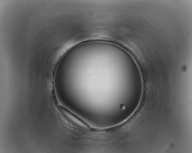 X0000096721363200802121239