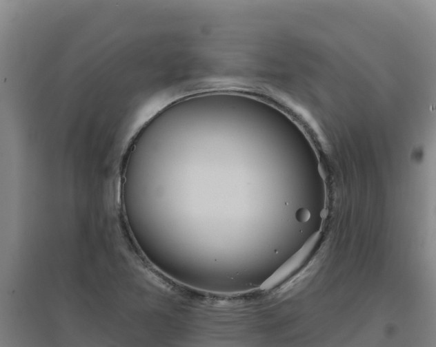 X0000096721365200802121239