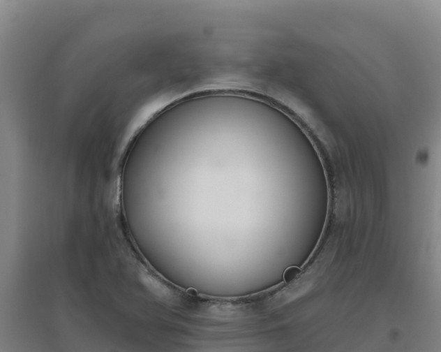 X0000096721366200802121239
