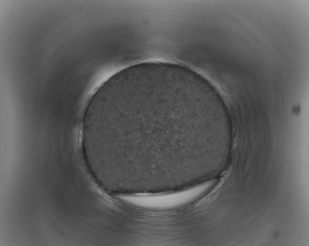 X0000096721367200802121239