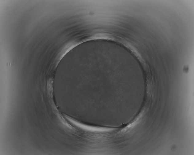 X0000096721369200802121239