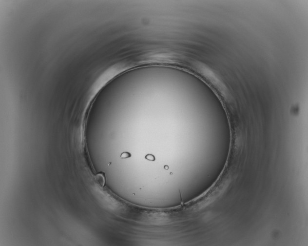 X0000096721370200802121239