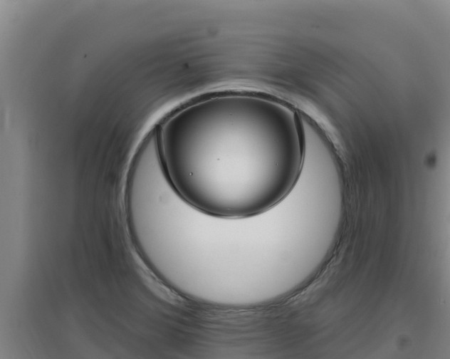 X0000096721372200802121238