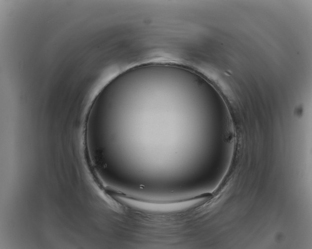 X0000096721375200802121238