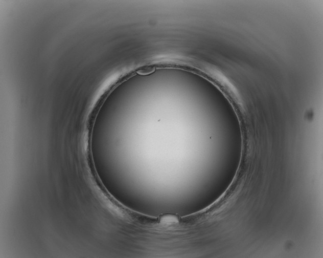 X0000096721376200802121238