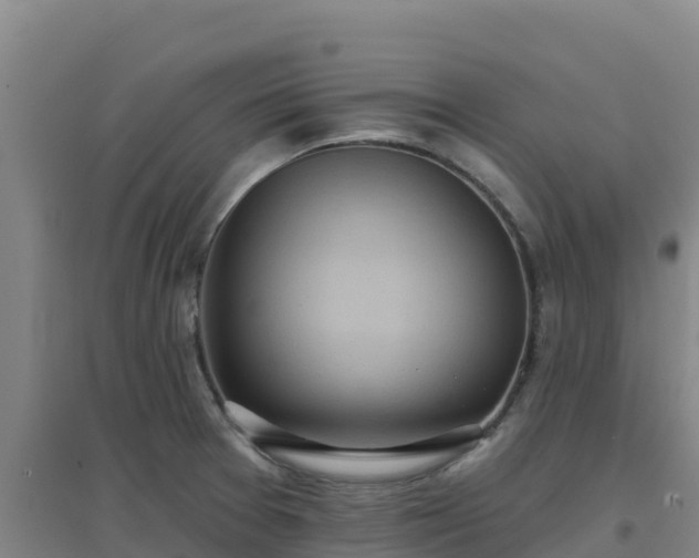 X0000096721377200802121238