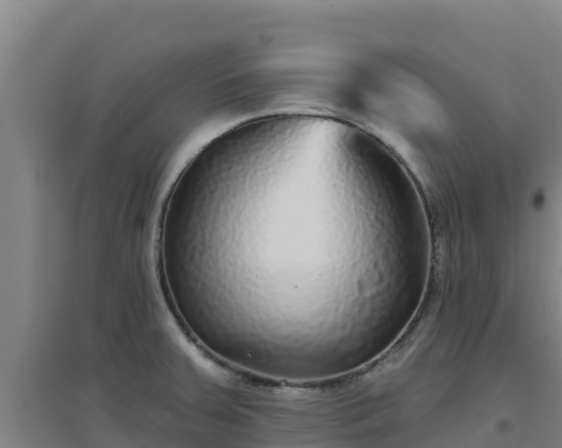 X0000096721379200802121238