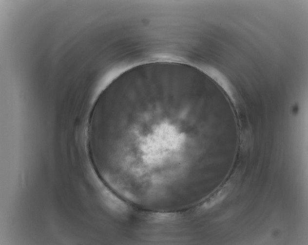 X0000096721381200802121238