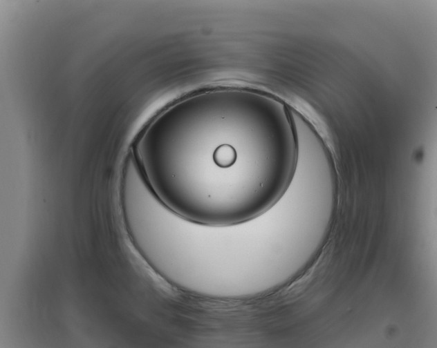 X0000096721384200802121238