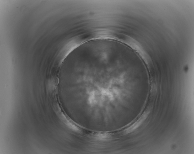 X0000096721385200802121238