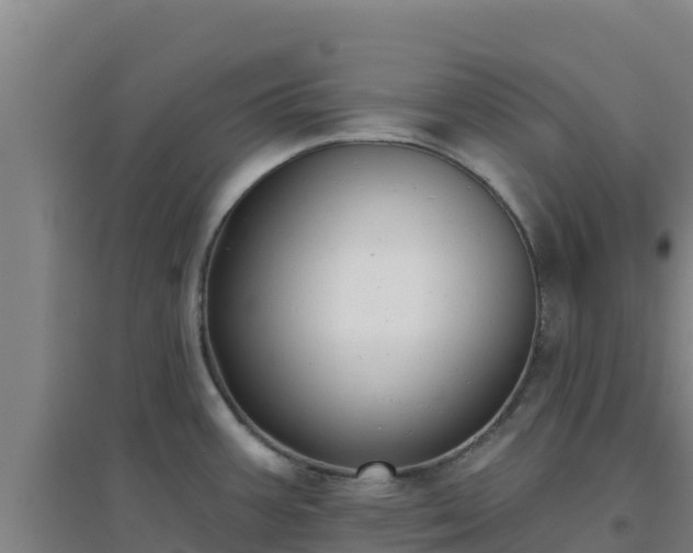 X0000096721387200802121238