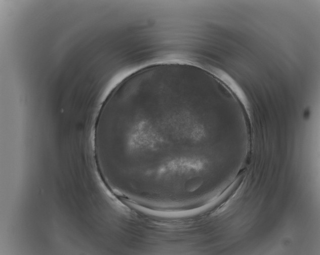 X0000096721388200802121238