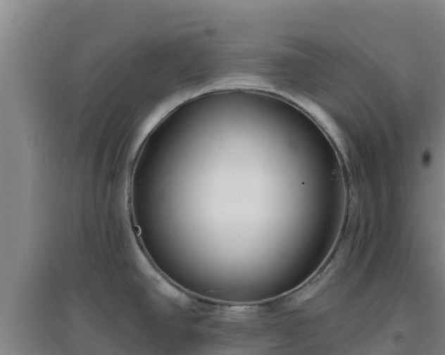 X0000096721390200802121238