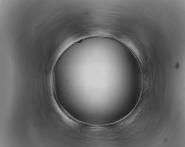 X0000096721391200802121238