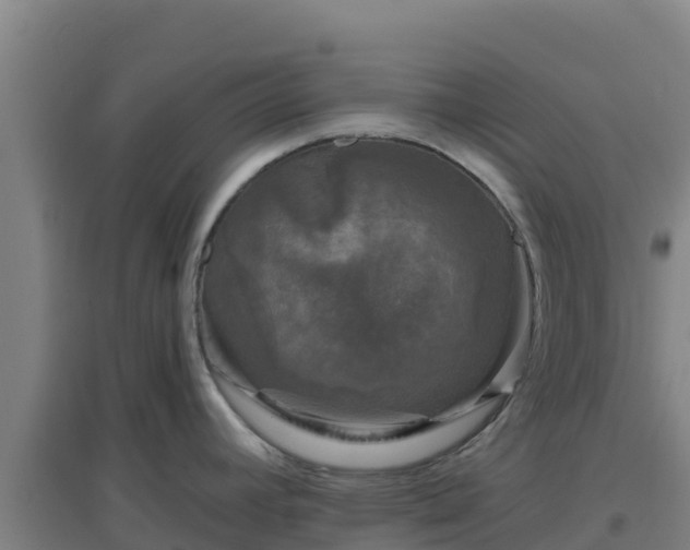 X0000096721392200802121238