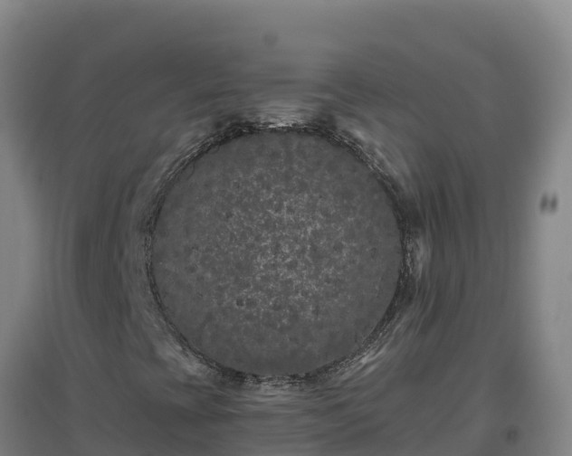 X0000096721393200802121237