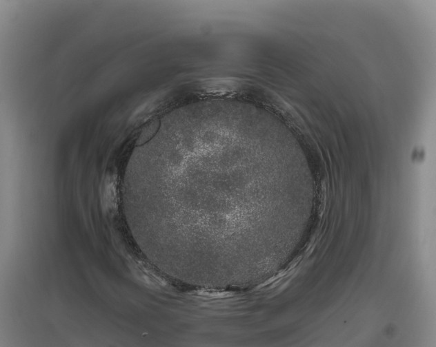 X0000096721394200802121237