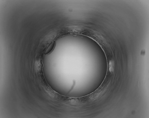 X0000096721395200802121237
