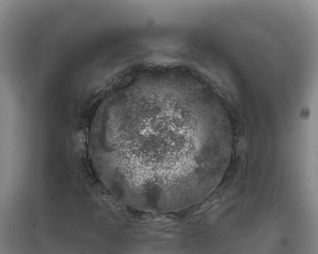 X0000096721397200802121237