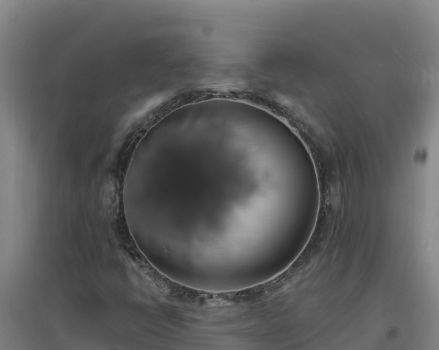 X0000096721398200802121237