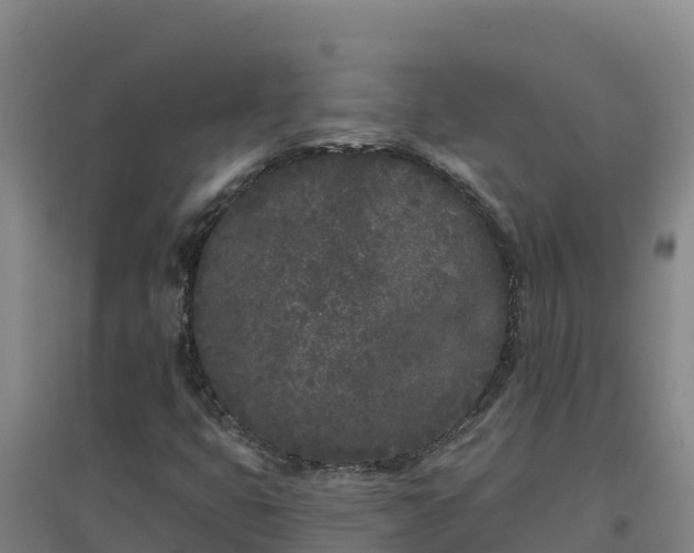 X0000096721399200802121237