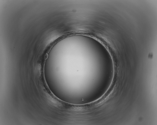 X0000096721402200802121237