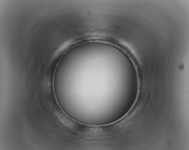 X0000096721403200802121237