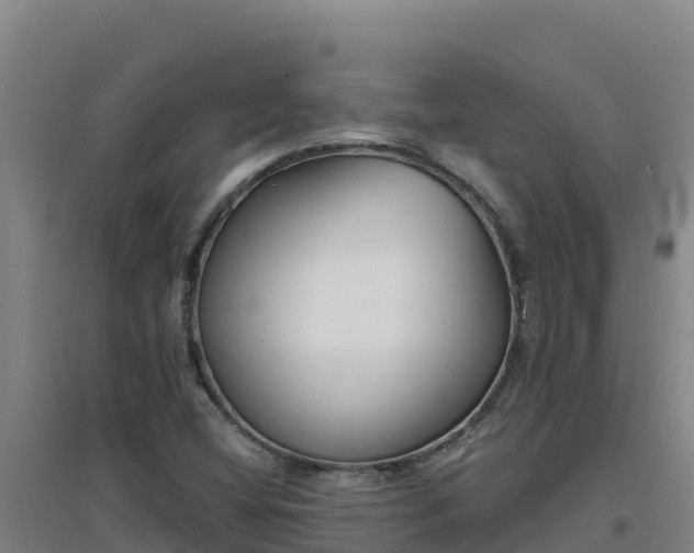 X0000096721404200802121237