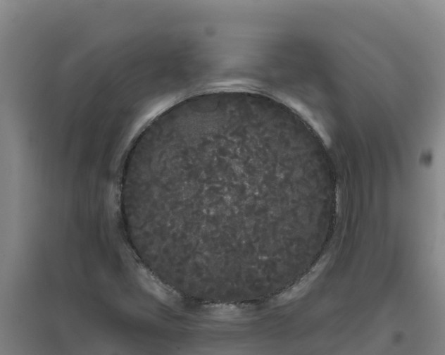 X0000096721405200802121237