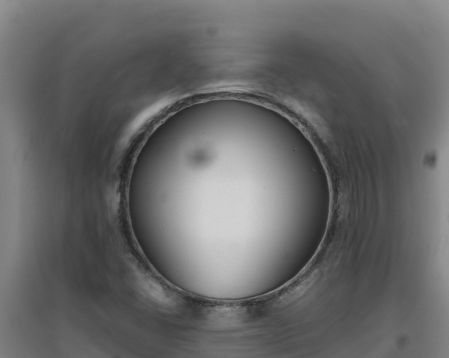 X0000096721406200802121237