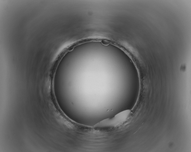 X0000096721408200802121237