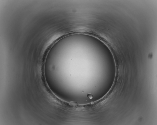 X0000096721410200802121238