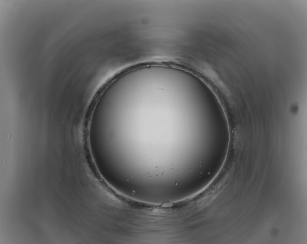X0000096721412200802121238