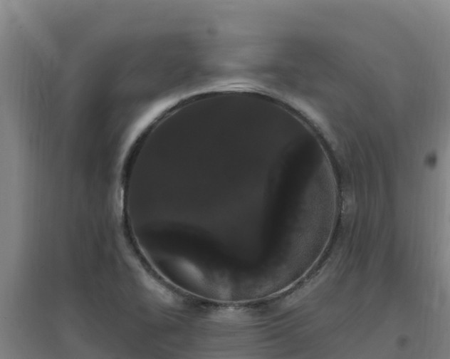 X0000096721414200802121238