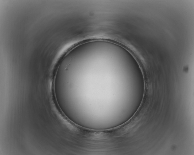 X0000096721416200802121238