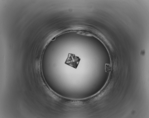 X0000096721417200802121238