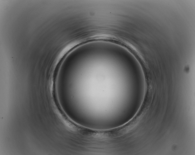 X0000096721418200802121238