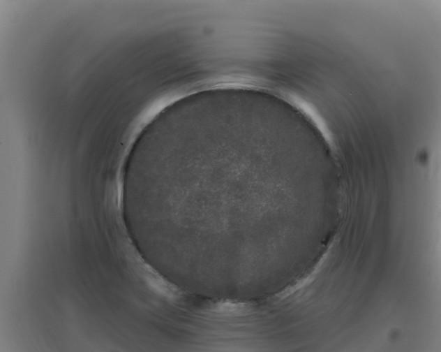 X0000096721419200802121238