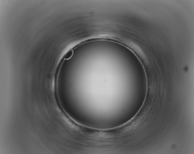 X0000096721420200802121238