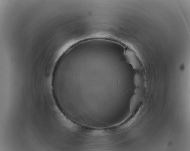 X0000096721422200802121238