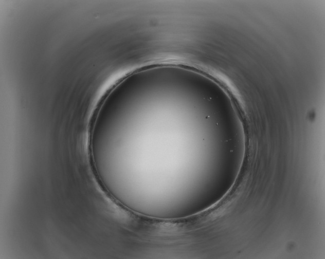 X0000096721424200802121238
