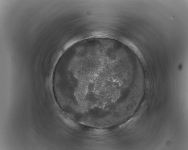X0000096721427200802121238