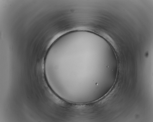 X0000096721428200802121238