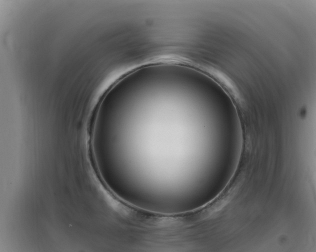 X0000096721430200802121238