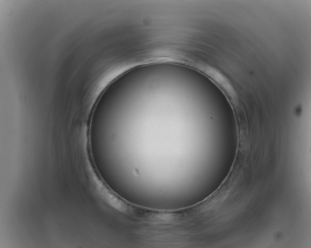 X0000096721431200802121238
